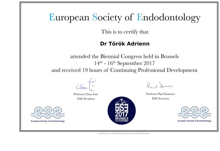 Dr. Török Adrienn, mikroszkópos gyökérkezelés oklevél - Society of Endodontology certificate