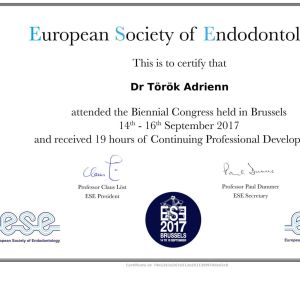 Dr. Török Adrienn, mikroszkópos gyökérkezelés oklevél - Society of Endodontology certificate