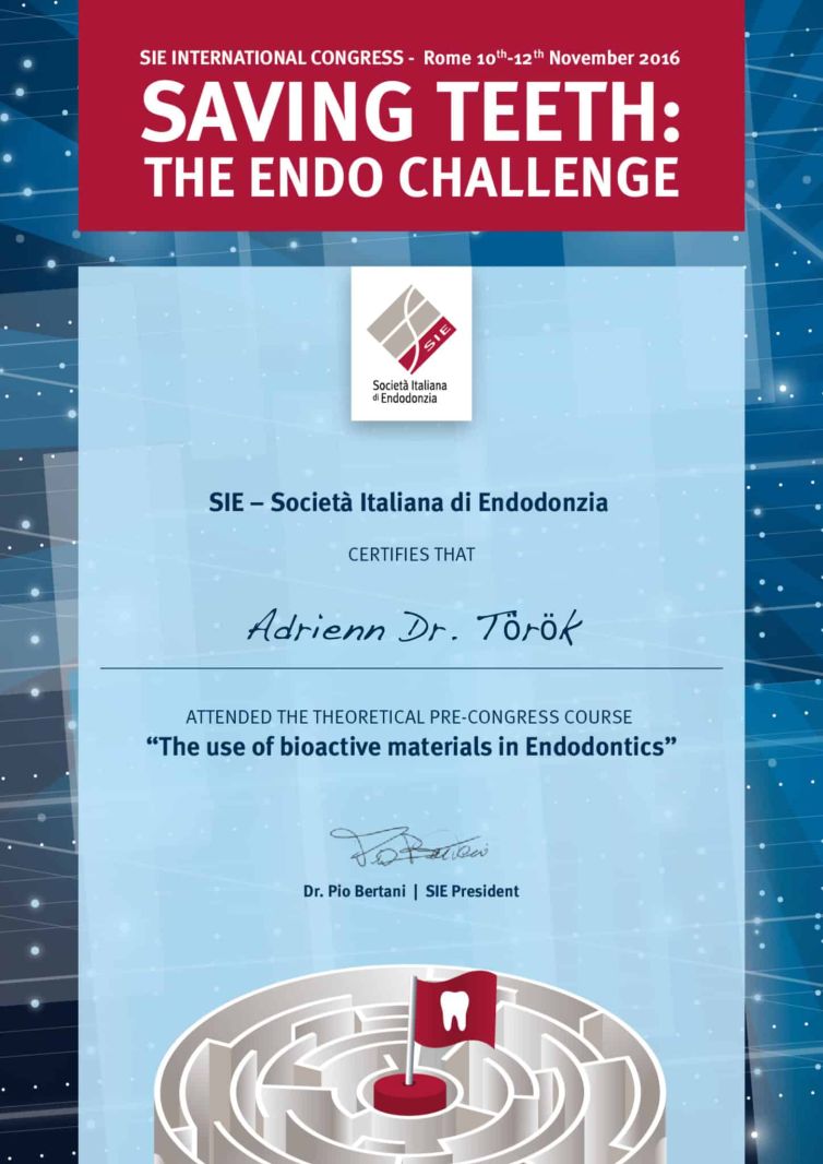 Dr. Török Adrienn, mikroszkópos gyökérkezelés oklevél - The Endo Challenge