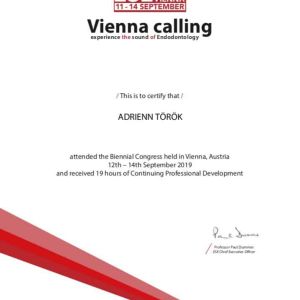 Vienna Calling Adrienn Török