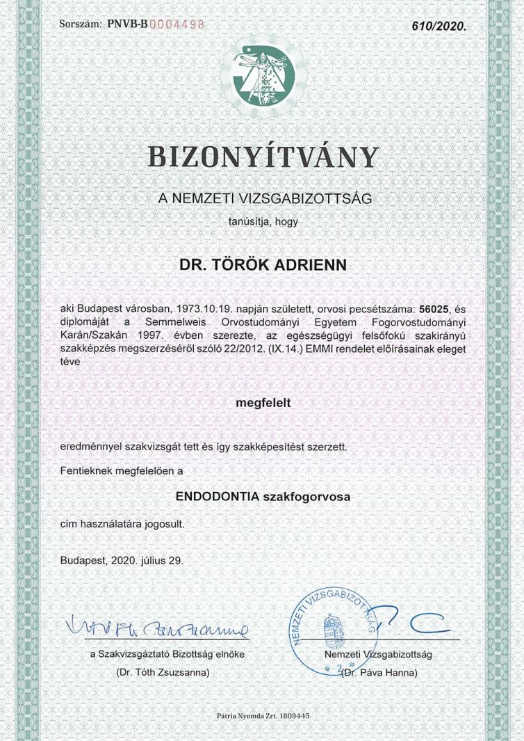 Dr. Török Adrienn fogorvos endodontia