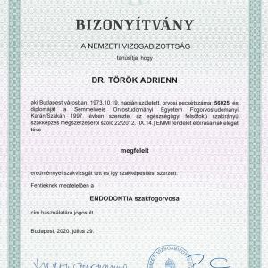 Dr. Török Adrienn fogorvos endodontia