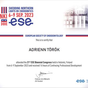 ESE HELSINKI - CERTIFICATE OF ATTENDANCE